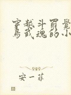 穿越斗罗觉醒雷鸟武魂的小说