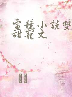 电竞小说双男主甜宠文