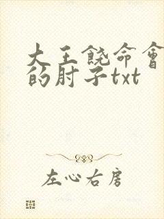 大王饶命会说话的肘子txt