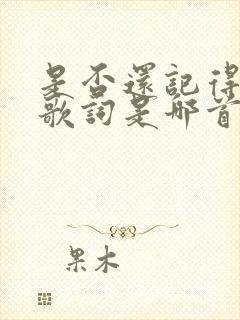 是否还记得我这歌词是哪首歌