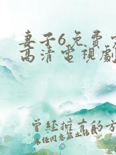 妻子6免费完整高清电视剧在线看中文