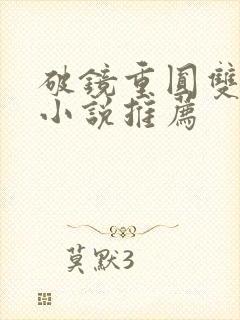 破镜重圆双女主小说推荐