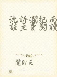 沈诗澜纪南风小说免费阅读最新章节