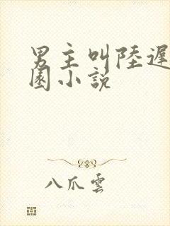 男主叫陆迟的校园小说