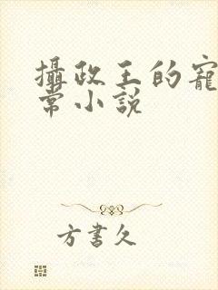 摄政王的宠妻日常小说