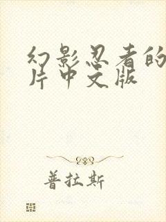 幻影忍者的动画片中文版