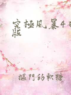 究极风暴4破解版