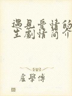 遇见爱情的利先生剧情简介