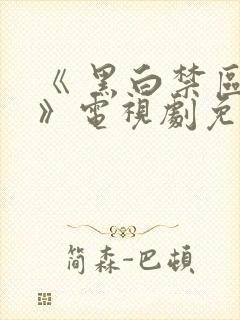 《 黑白禁区 》电视剧免费看