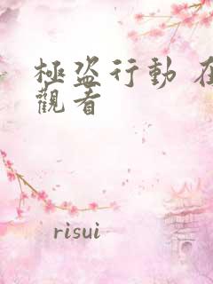 极盗行动 在线观看