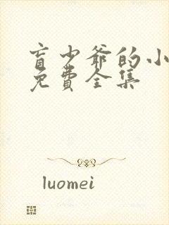 盲少爷的小女仆免费全集