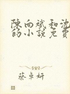 陈向斌和沈菲菲的小说免费阅读