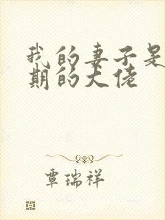 我的妻子是大乘期的大佬