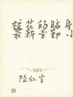 校花的贴身高手最新章节 小说