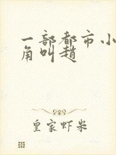 一部都市小说主角叫赵