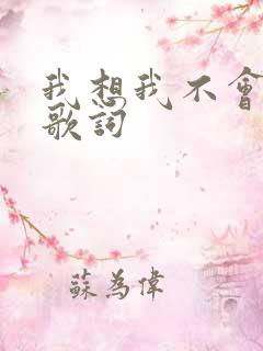 我想我不会爱你歌词