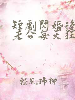 短剧闪婚后大叔老公每天狂宠我在线观看