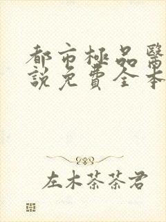 都市极品医神小说免费全本阅读