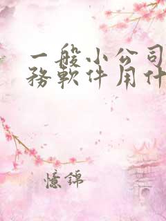 一般小公司的财务软件用什么