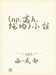 (np,高h,纯肉)小说