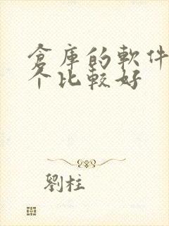 仓库的软件用哪个比较好