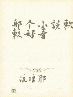 哪个小说软件比较好看