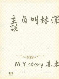 主角叫林泽的小说