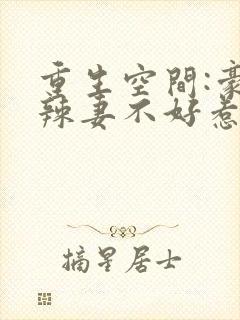 重生空间:豪门辣妻不好惹免费