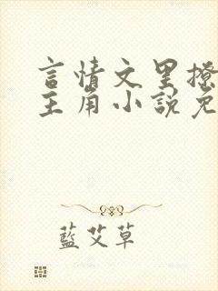 言情文里撩直男主角小说免费阅读辞玖