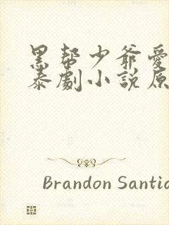 黑帮少爷爱上我泰剧小说原著