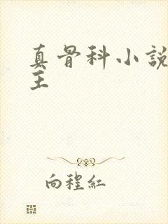 真骨科小说双男主