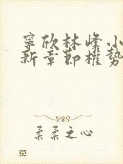 宁欣林峰小说最新章节权势滔天