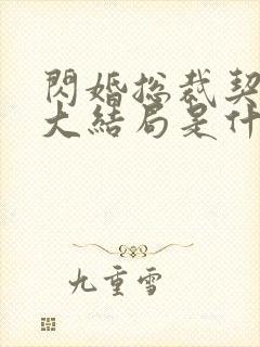 闪婚总裁契约妻大结局是什么