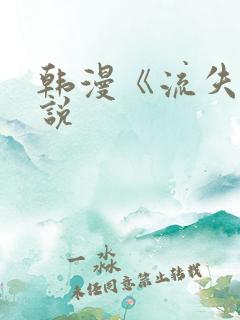 韩漫《流失》小说