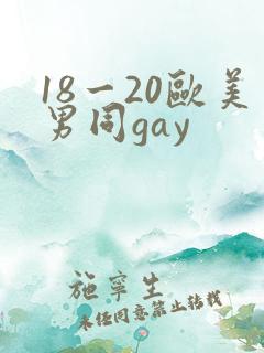 18一20欧美男同gay