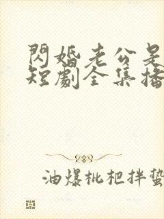 闪婚老公是豪门短剧全集播放