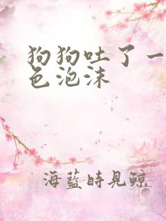 狗狗吐了一滩白色泡沫