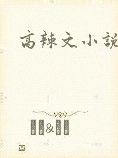 高辣文小说免费