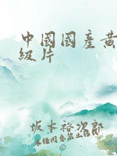 中国国产黄色一级片