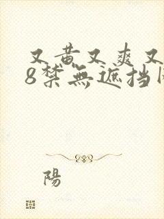 又黄又爽又色18禁无遮挡网站