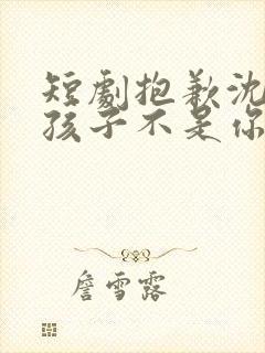 短剧抱歉沈先生孩子不是你的全集