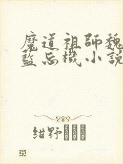 魔道祖师魏无羡蓝忘机小说电子书全集