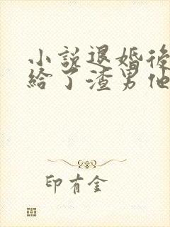 小说退婚后我嫁给了渣男他叔