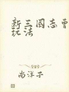 新三国志曹操传玩法