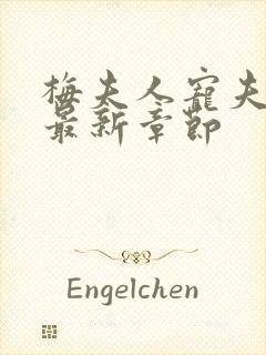 梅夫人宠夫日常最新章节