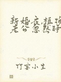 新婚夜,植物人老公忽然睁开眼所有章节