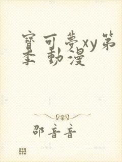 宝可梦xy第二季 动漫