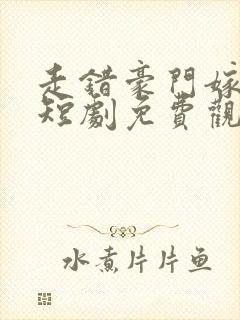 走错豪门嫁对郎短剧免费观看