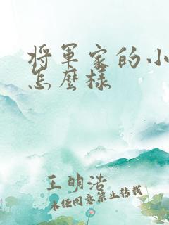 将军家的小娘子怎么样