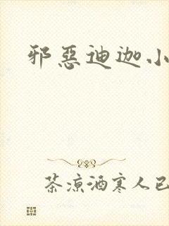 邪恶迪迦小说